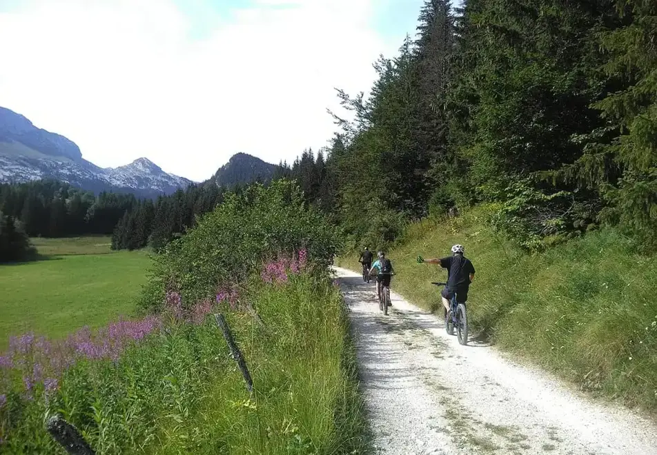 Mountain biking in Villard de Lans 
