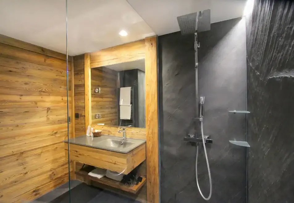 Cote Brune, Les 2 Alpes (hotel) - Typical standard room shower
