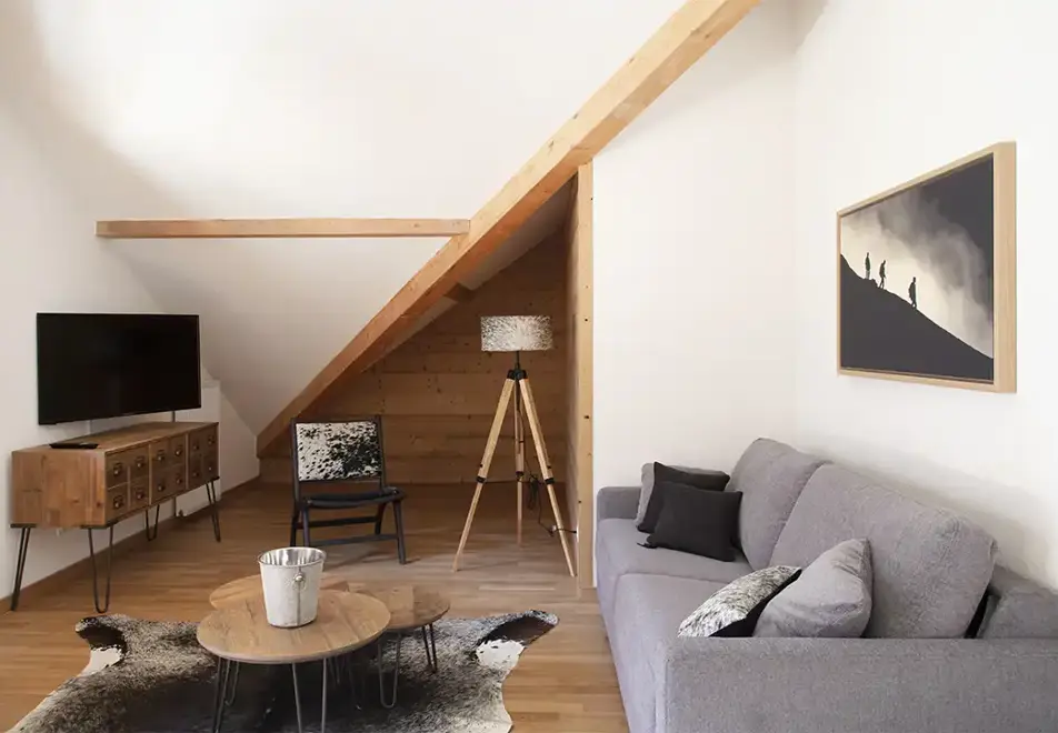 Les Edelweiss, Vaujany (self catered apartments) - Typical apartment style