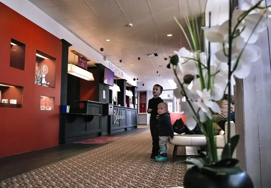 Les Cimes du Soleil, Avoriaz (hotel) - Reception