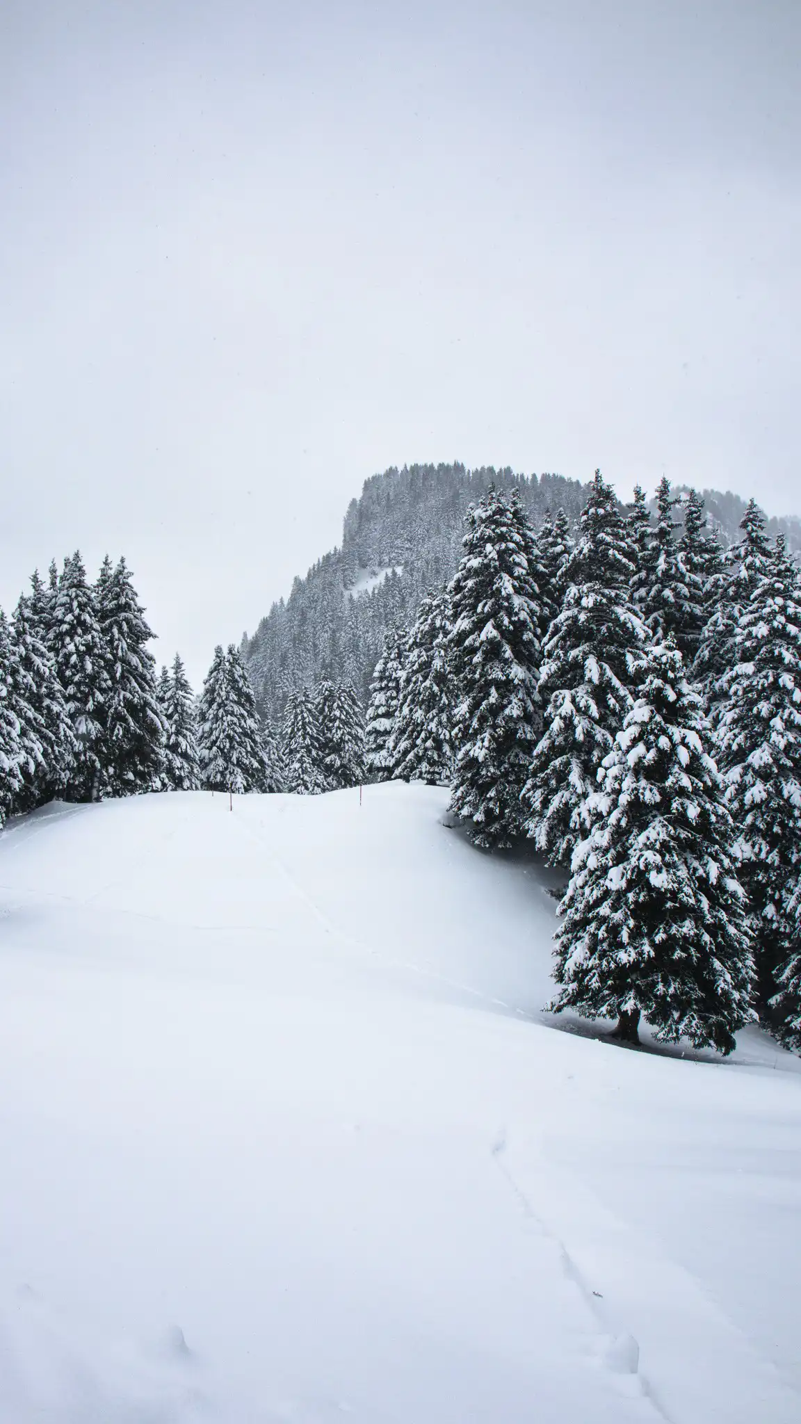 Flaine 06.11.2023