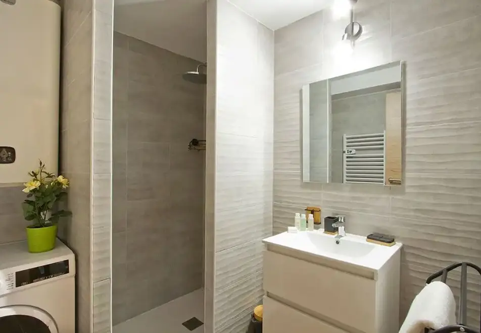 Provencal, Les Deux Alpes (self catered apartments) - Typical shower room style