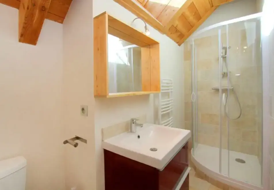 Snow Lodge, Les Deux Alpes (self catered chalet) - Shower room
