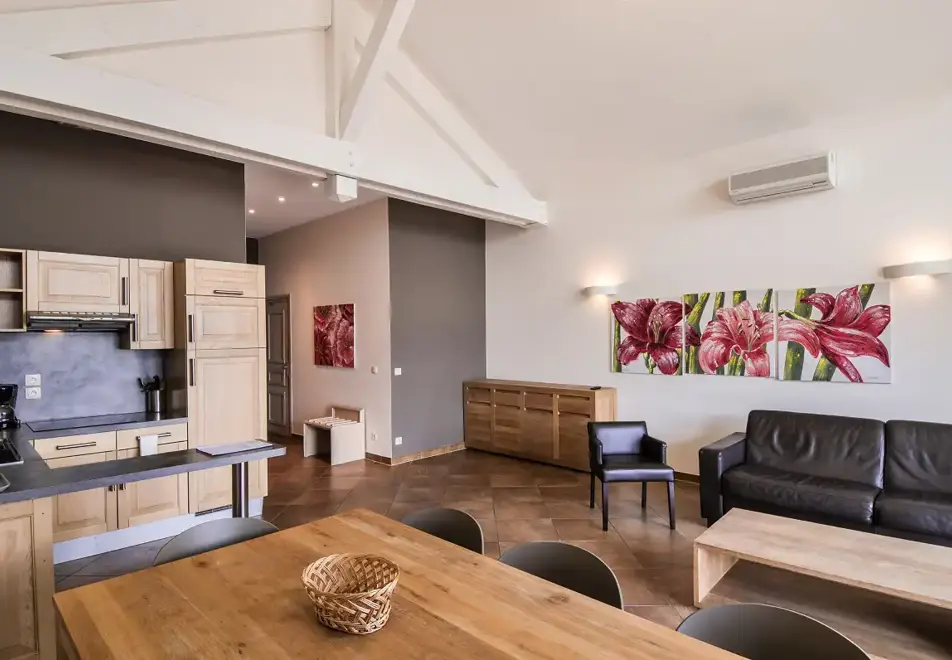 Les Chataigniers, Annecy (self catered apartment) - Typical apartment