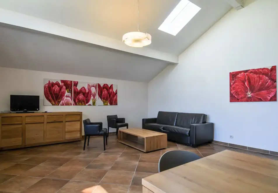 Les Chataigniers, Annecy (self catered apartment) - Typical apartment