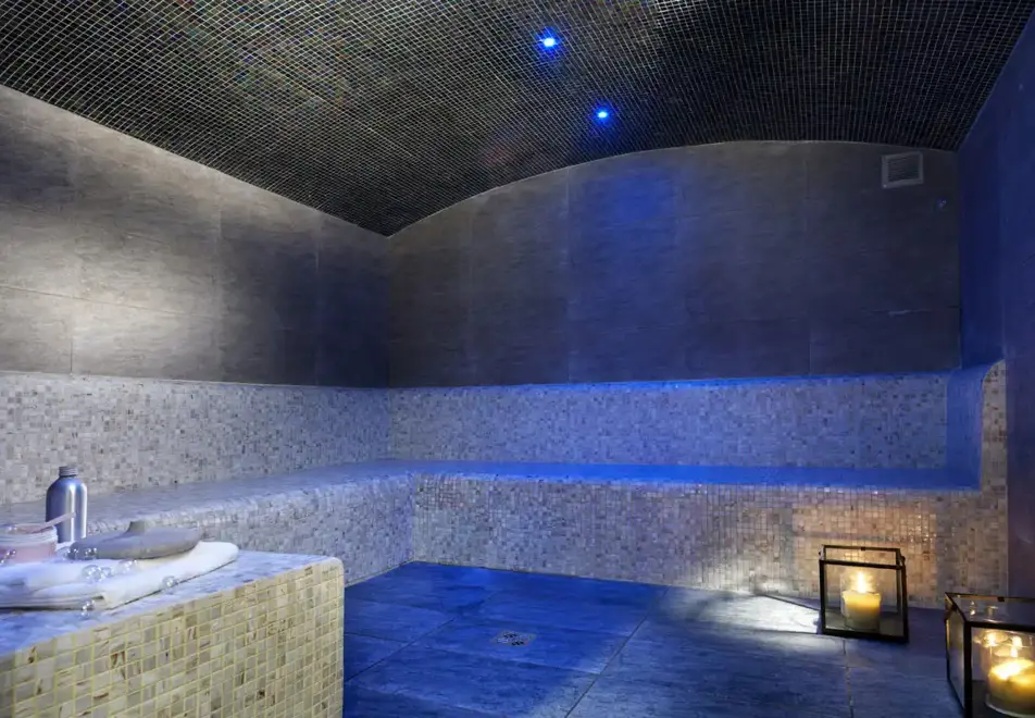 La Reine des Pres, Samoens (self catered apartments) - Steam room