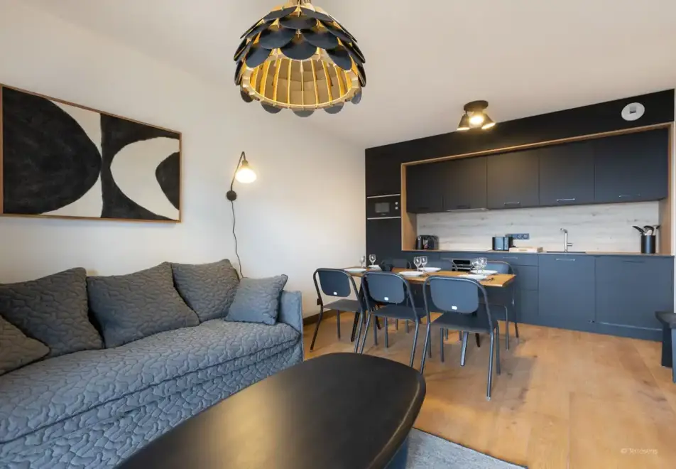 Le Quartz, Peisey Vallandry (self catered apartments) - Typical apartment style