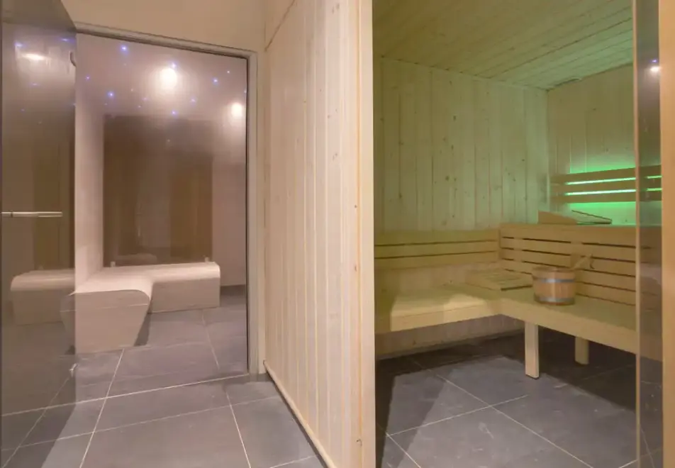 Altaviva, Tignes 1800 (self catered apartments) (©MReyboz) - Sauna