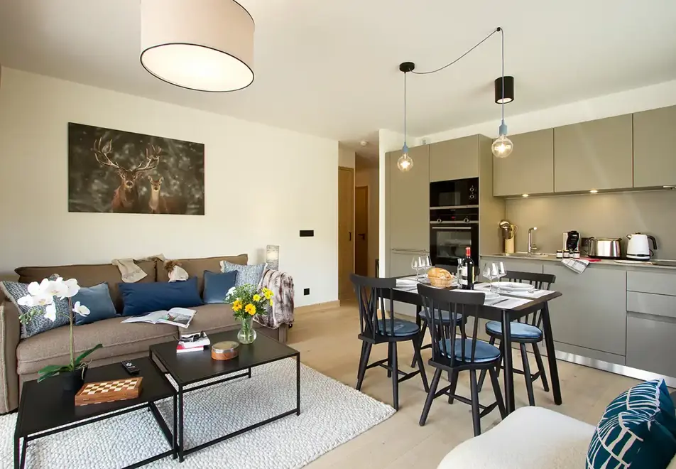 Phoenix C, Alpe d'Huez (self catered apartments) - Typical apartment style